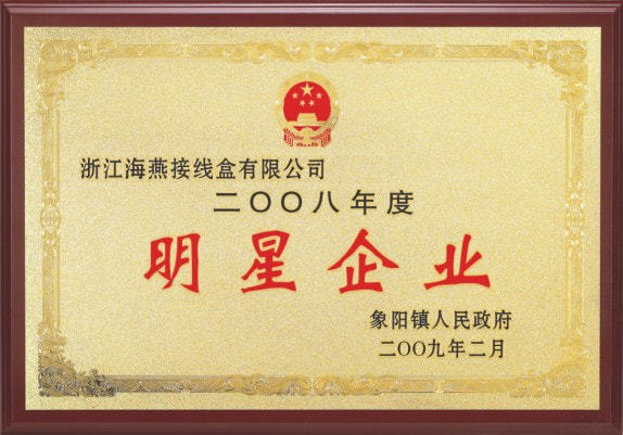 2008年度明星企業