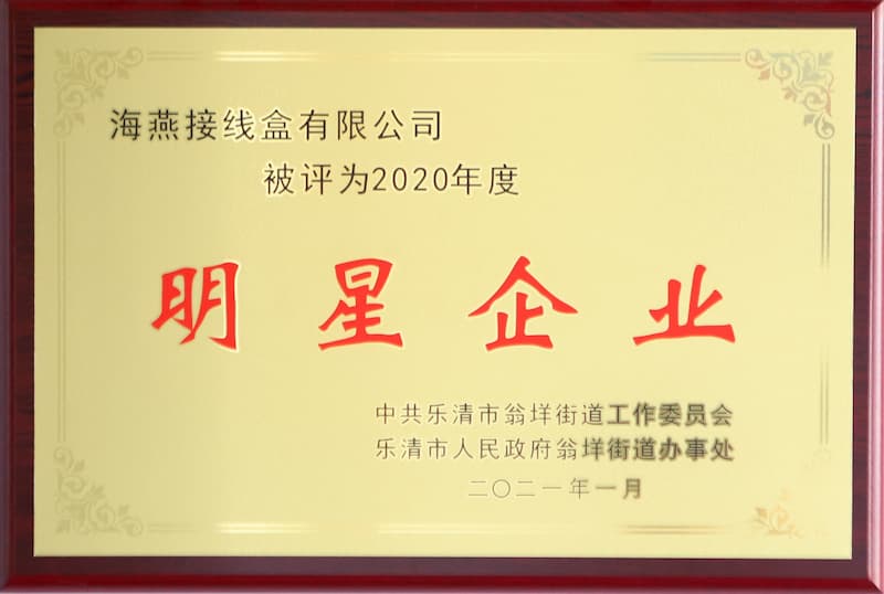 2020年度明星企業